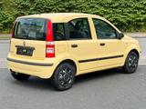 Fiat Panda 1.2 8V Dynamic CityServo-Zentral-TÜV NEU - Fiat Panda Gebrauchtwagen in Düsseldorf