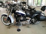 Harley-Davidson Softtail Deluxe FLSTN - Offers