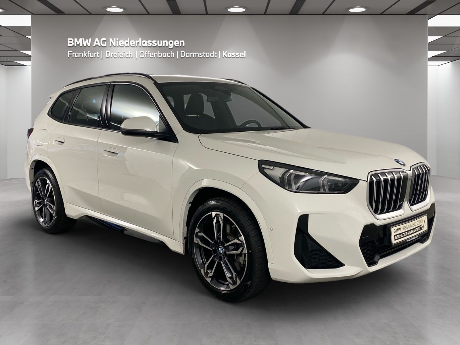 BMW X1 sDrive20i M Sport Driv.Assist Harman K LED foto 3