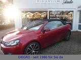 Volkswagen Golf Cabriolet "CUP" 1.2 TSi BMT * gepflegt - Volkswagen Golf: Rot, Cabrio