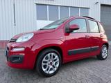Fiat Panda 1,25 51kW 69PS Lounge/PANO/Klima/1.Hand - Fiat in Hagen
