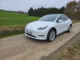 Tesla Model Y Hinterradantrieb RWD  - Tesla Model Y: Rwd