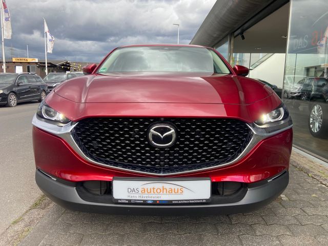 Fahrzeugabbildung Mazda CX-30 Selection , e-SKYAKTIV X*Head-Up*NAVI+RFK