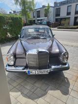Mercedes-Benz 220 SEb Werkscabriolet-Komplett Restauriert - Mercedes-Benz 220: Braun, Leder