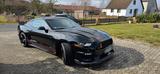 Ford Mustang 2.3 EcoBoost - GT350 Look - Ford Mustang: Gt350