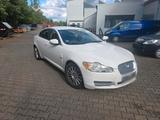 Jaguar XF 2.7d Luxury TÜV 11.2027 Voll Fah... - Jaguar XF: 2.7