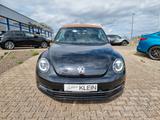 Volkswagen Beetle Cabriolet Karmann BMT *SITZHEIZ*PDC*TEMP* - Volkswagen: Karmann