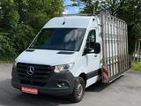 Mercedes-Benz SprinterIII Kasten*Glastransport*Automat.*317CDI - Angebote
