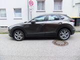 Mazda CX-30 Selection 186 PS, Bose, 360 Cam - Mazda in Lübeck