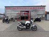 Yamaha BT 1100 Belgarda / Bulldog - Angebote