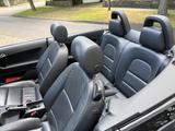 Audi A3 1.6 Ambition Cabriolet Ambition - Audi A3 Gebrauchtwagen in Aachen