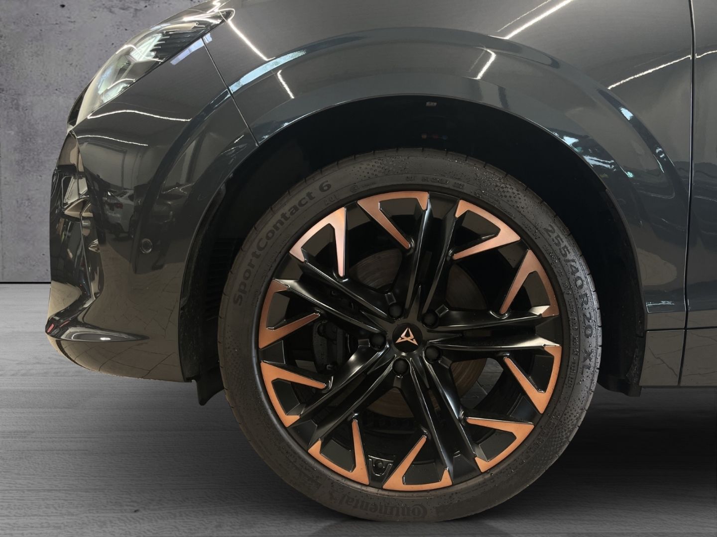 Cupra Terramar - Bild 5