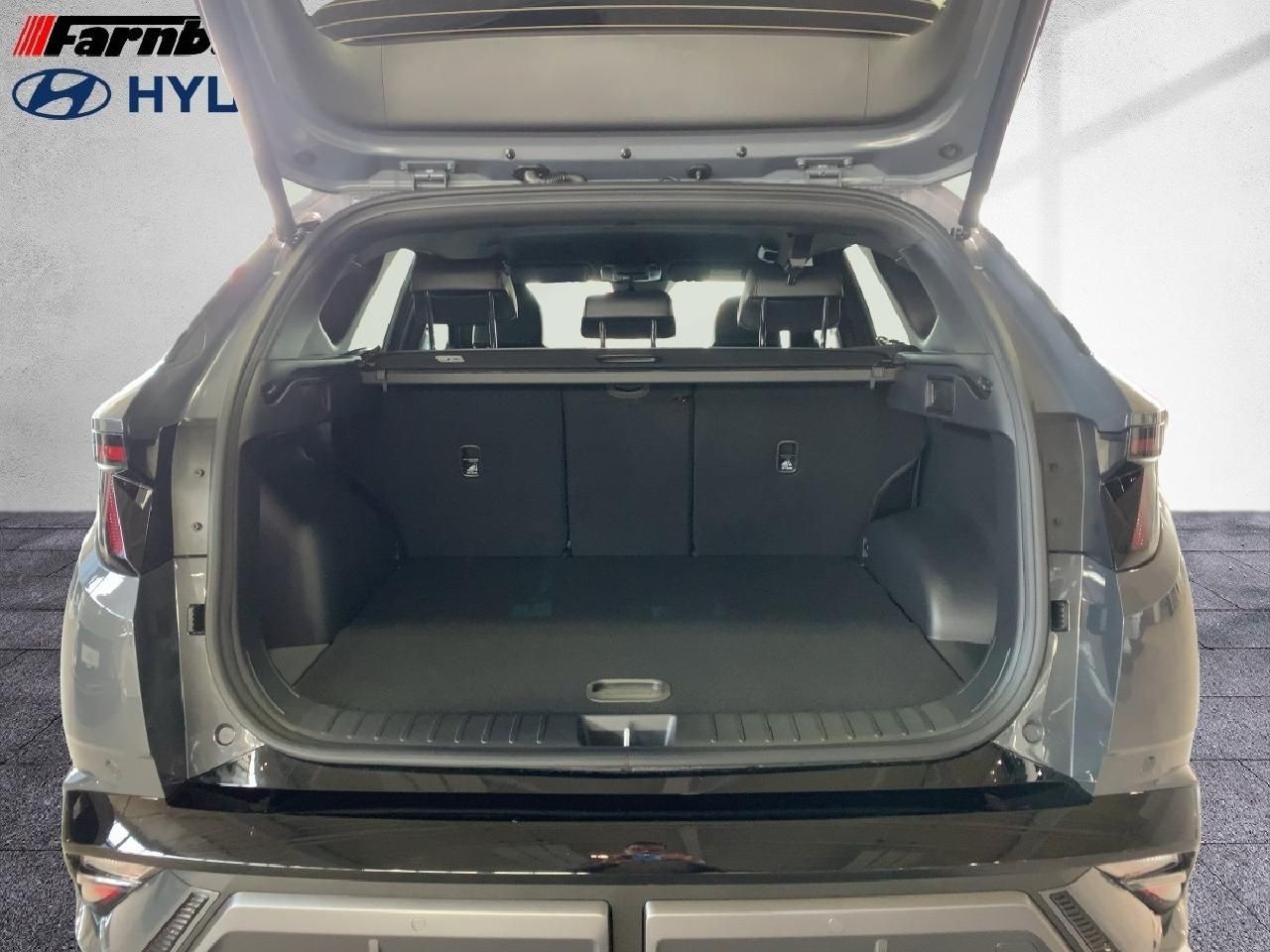 Fahrzeugabbildung Hyundai TUCSON N Line Hybrid 2WD LED-Paket*