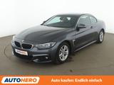 BMW 420i M Sport Aut.*NAV*XENON*TEMP*PDC*SHZ*KLIMA* - BMW 420: Cabrio