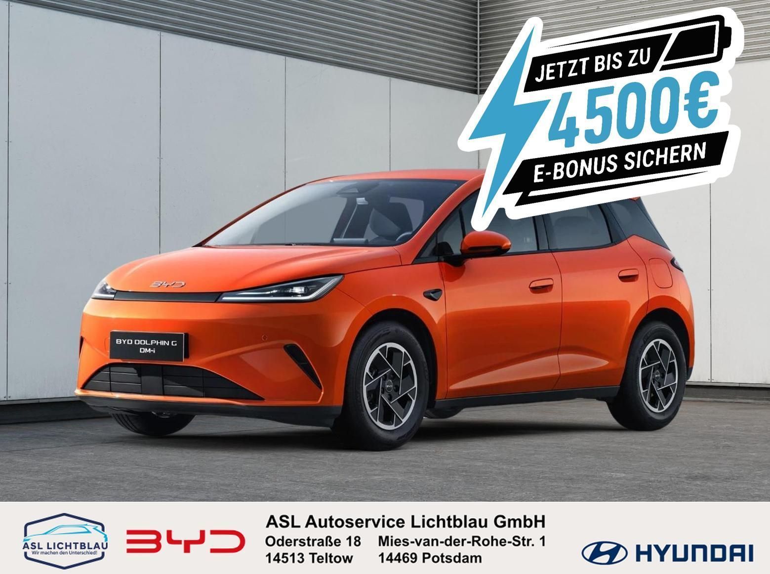 BYD DOLPHIN