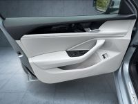 Volkswagen Passat Variant - Vorschau Bild 24