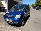 Fiat Panda Cross 4*4, Standhzg, Navi, Freispr. Klima