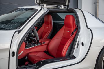 Mercedes-Benz SLS AMG | Designo | Carbon | PPF | AMG Perform.