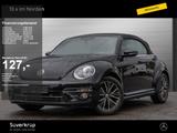 Volkswagen Beetle Cabrio 1.2 TSI Sound SHZ PDC - Volkswagen Beetle: Sound