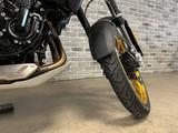 BMW F 900 GS 'Trophy' + Dynamikpaket + Keyless + RDC - BMW ENDURO