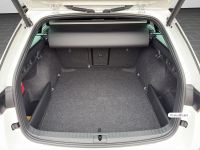 Skoda Octavia - Vorschau Bild 16