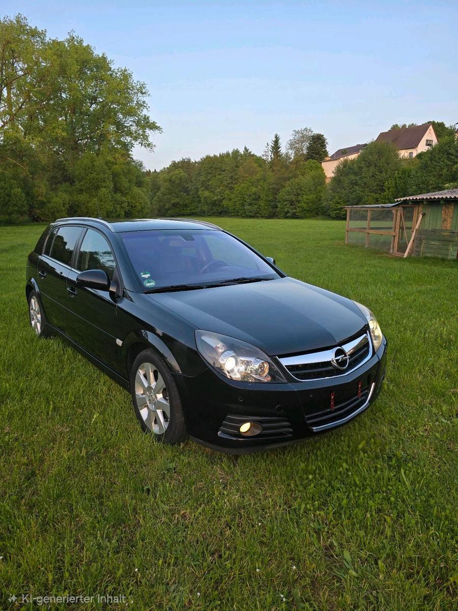 Opel Signum 2006 — rear view