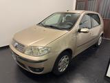 Fiat Punto Classic 1.2 5 porte Dynamic - Fiat Punto: Class