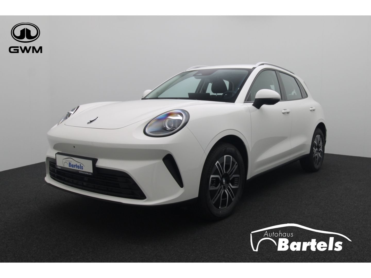 Fahrzeugabbildung GWM ORA 5 1.5 Turbo 7-Gang DCT Premium 360 Kamera AC