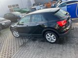 Audi Q2 1.0 TFSI ultra - - Audi Q2 von privat