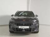 Cupra Terramar 1.5 e-Hybrid VZ DSG P-Dach/Matrix/20'' - Cupra Terramar Jahreswagen