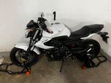 Yamaha XJ 6 N Nakedbike Tausch - Offers matching your search criteria