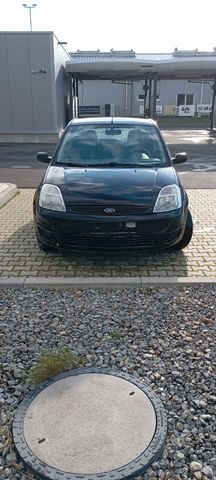 Ford Fiesta 1,3 44 kW Viva Viva