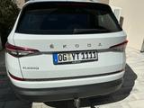 Skoda Kodiaq 2.0 TDI 110 KW DSG Selection Selection - gebrauchte Skoda Kodiaq aus dem Jahr 2024