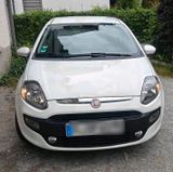 Fiat Punto 199,Navi,Klima,Allwetter,Auto - Fiat Punto: Auto