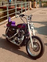 Harley-Davidson Sportster 1200 - HARLEY-DAVIDSON 2006 SPORTSTER 1200