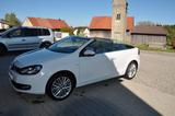Volkswagen Golf 2.0 TDI DSG BlueMotion Tech Cabriolet B... - Volkswagen Golf mit Diesel-Antrieb: Cabrio, Automatik