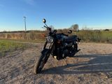 Triumph Bonneville T120 Black Gold Line, Garantie 04/26 - TRIUMPH BONNEVILLE T120 BLACK