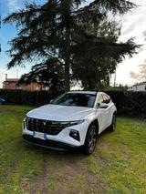 Hyundai Tucson 1.6 CRDI 48V DCT Exellence - Behindertengerechte Hyundai TUCSON