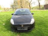 Fiat Punto 1.2 8V LOUNGE  mit Klima 5Tü. - Fiat Punto in Dortmund