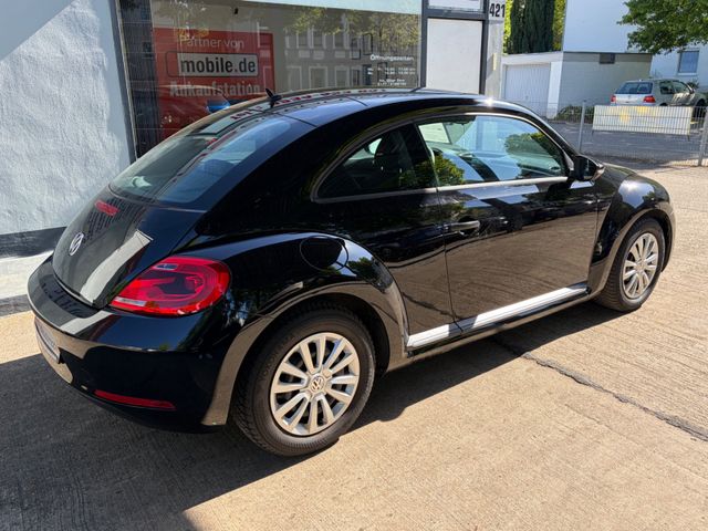 Fahrzeugabbildung Volkswagen Beetle+1.Hand+NaviZB+AllwetterRäder+