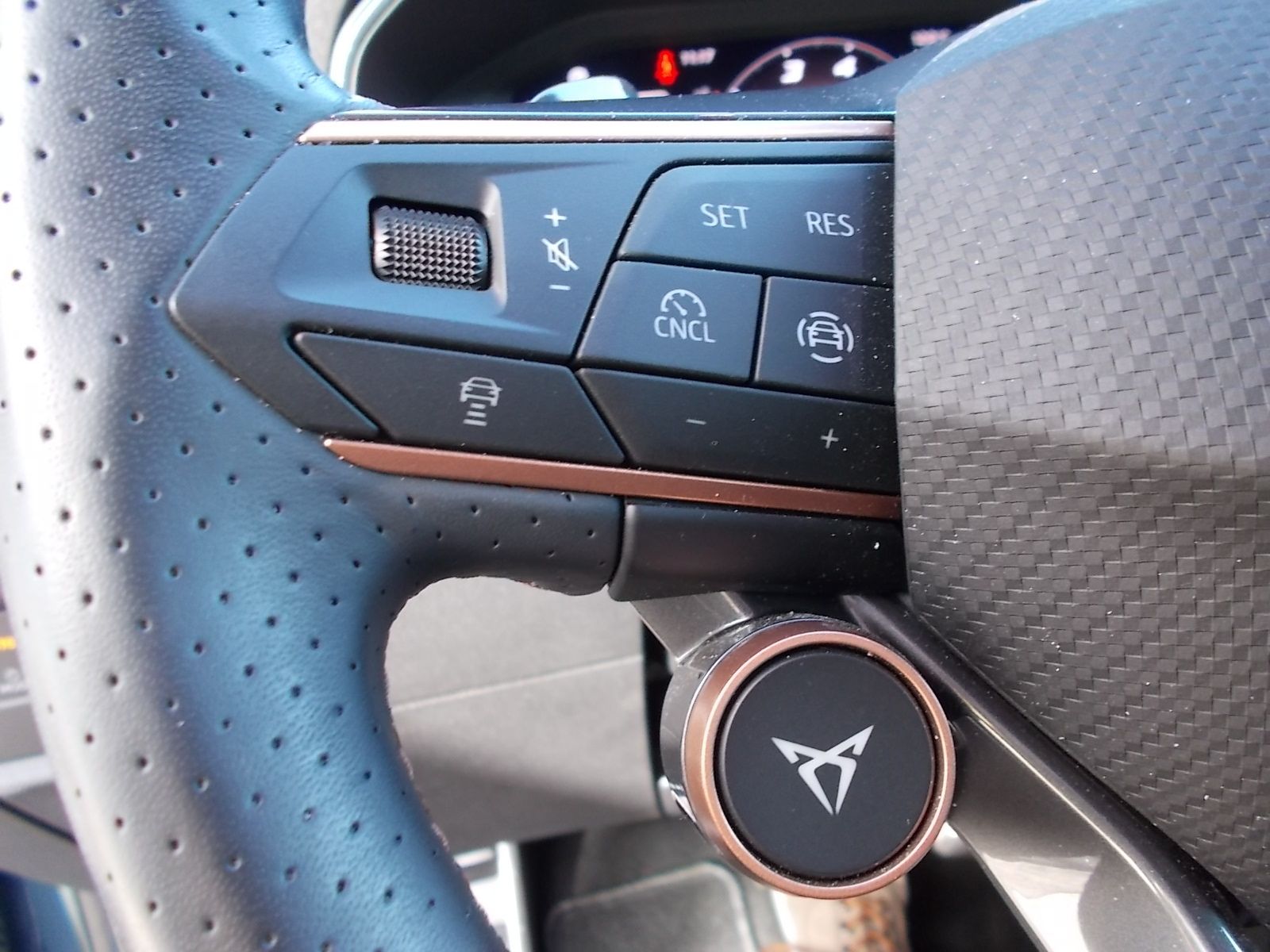 Fahrzeugabbildung CUPRA Formentor 1.5 eTSI DSG + wenig Kilometer