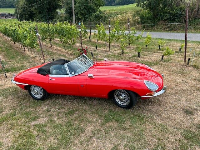 Jaguar E-Type S1 Roadster