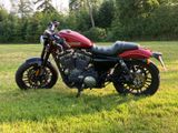 Harley-Davidson XL1200CX Roadster - Angebote entsprechen deinen Suchkriterien
