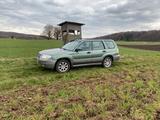 Subaru Forester 2.0 - Subaru Forester aus 2006