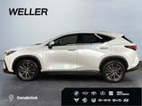Lexus NX 450h+ E-FOUR Business-Paket *Bi-LED*Leder*SHZ - Lexus Gebrauchtwagen von 2022