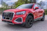 Audi Q2 / 40 TFSI quattro S tronic advanced - Audi quattro aus 2023