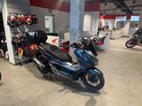 Honda Forza 300 *Service und TÜV neu* - HONDA ROLLER FORZA