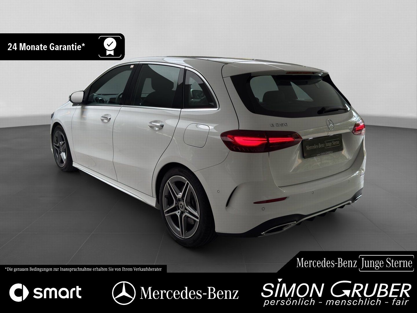 Fahrzeugabbildung Mercedes-Benz B 250 4M AMG Pano Distronic 360 Memory HUD MBeam