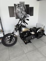 Harley-Davidson FLSTSB Softail Cross Bones - HARLEY-DAVIDSON FLSTS