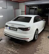 Audi S4 3.0 TFSI tiptronic quattro - - Audi S4: Weiß